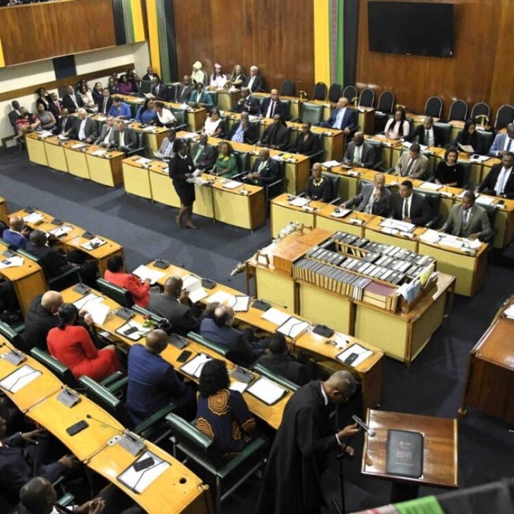 Jalil Dabdoub | The courage to put Jamaica first | In Focus