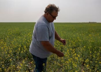 ‘Steadfast champion’: Sask. senator Todd Lewis dies at 65