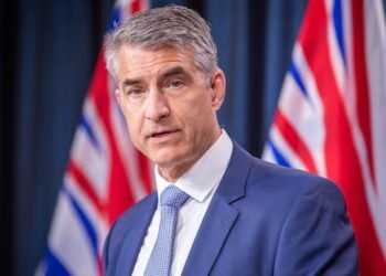New foreign influence office won’t prevent foreign interference, commissioner says