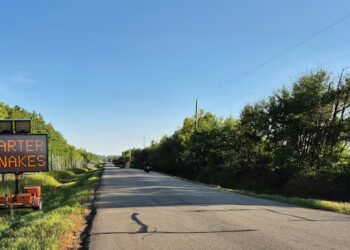Brake for snakes: Strathcona County hopes to prevent garter snake deaths on rural road