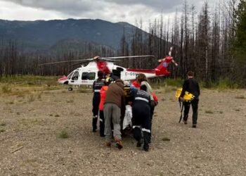72-year-old hiker attacked by grizzly bear in B.C.