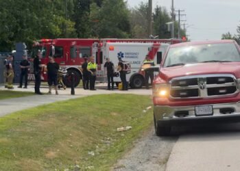3-year-old girl hospitalized after Maple Ridge, B.C., bear attack