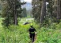 Hiker escapes after being attacked by grizzly bear in backcountry near Pemberton, B.C.
