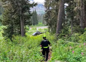 Hiker escapes after being attacked by grizzly bear in backcountry near Pemberton, B.C.