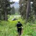 Hiker escapes after being attacked by grizzly bear in backcountry near Pemberton, B.C.