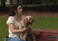 Dog walk through downtown Edmonton park turns into vet visit for suspected opioid poisoning