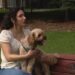 Dog walk through downtown Edmonton park turns into vet visit for suspected opioid poisoning