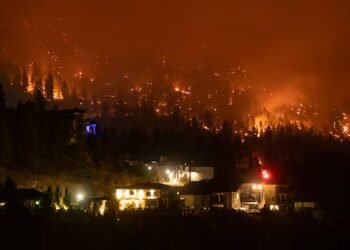 As wildfires destroy homes, should B.C. make FireSmart principles mandatory?