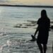 Meet Finn, the 15-year-old who saved a shark in New Brunswick