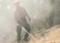 What you need to know about B.C. wildfires on Aug. 17