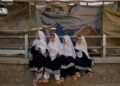 5 years after Taliban seized control, Afghan refugee reflects on new life in Saskatoon