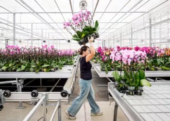 IN PHOTOS | New wave of U.S. tariffs threatens these Canadian companies