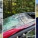 Survivor describes moments after plane ripped through his vehicle in Prince George