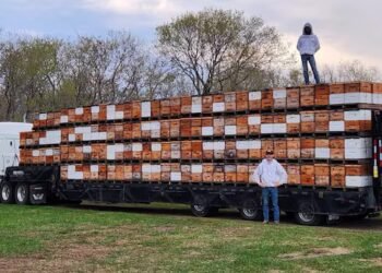 ‘Effectively, we’re out of business’: U.S. tariffs cut Manitoba honey farm off from vast majority of customers