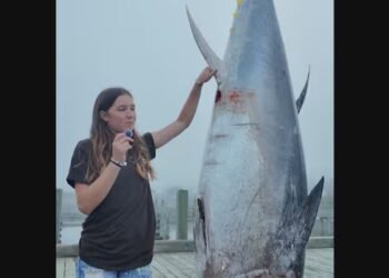 ‘I didn’t think I could do it’: A 13-year-old N.S. girl fought a 711-pound tuna and won
