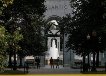 Pirro Challenges Release of Woman Accused of Vandalizing World War II Memorial
