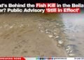 What’s Behind the Fish Kill in the Belize River? Public Advisory ‘Still in Effect’