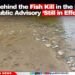 What’s Behind the Fish Kill in the Belize River? Public Advisory ‘Still in Effect’