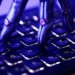 What ‘Pacing the Frontier’ reveals about the U.S. AI industry | Explained