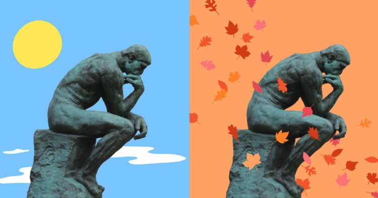 Opinion | College Students Worried About A.I. Should Study the Humanities
