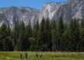 Trump Administration Looks to Give a Swath of Yosemite Park to Developer