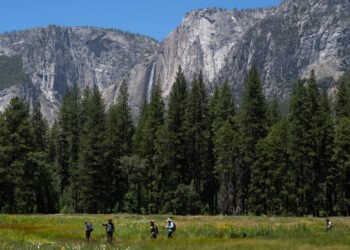 Trump Administration Looks to Give a Swath of Yosemite Park to Developer
