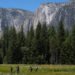 Trump Administration Looks to Give a Swath of Yosemite Park to Developer