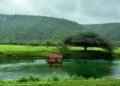 Khareef rains to remain active; Al Hajar cloud activity expected this week