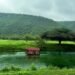 Khareef rains to remain active; Al Hajar cloud activity expected this week