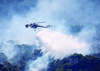 Water bombers take to skies in Greece wildfires