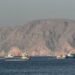 Gulf shipping traffic steady amid uncertainty of peace talks