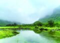 MISTY DHOFAR BECKONS – Oman Observer