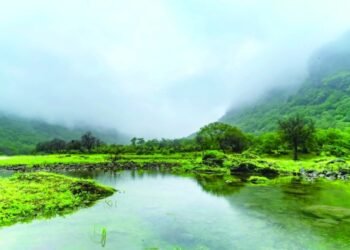 MISTY DHOFAR BECKONS – Oman Observer