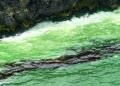 Ras Madrakah beach area hit by oil pollution