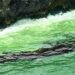 Ras Madrakah beach area hit by oil pollution