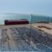 Port of Duqm handles 900 vehicles in single RoRo shipment
