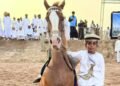 Horses dazzle in Al Ashkharah fest