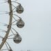 Dhofar’s new landmark, ‘Salalah Eye’ is now open