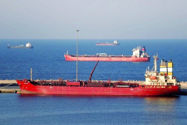 Stranded ships raise fears of marine bioinvasion