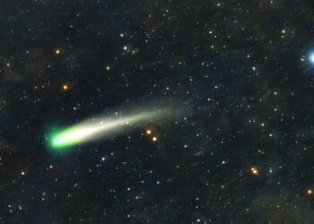 Comet 220P/McNaught’s brightness observed from Al Hamra