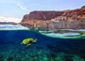 Nature – Oman Observer