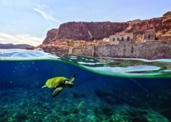 Nature – Oman Observer