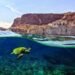 Nature – Oman Observer