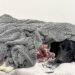 Grateful dog owner describes mountain rescue after canine apparently ingests cannabis