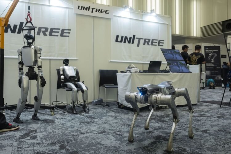 China’s robots know kung fu and can scale walls. Can they woo investors?