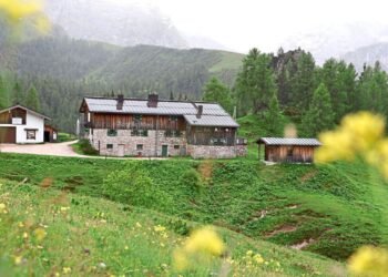 How these alpine accommodations keep their beds free from bedbugs