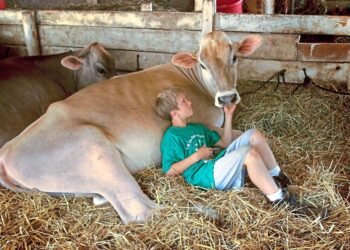 Why farm children have less asthma