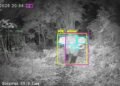 How ‘AI sentries’ are bringing new hope to Kerala’s human-wildlife conflict zones