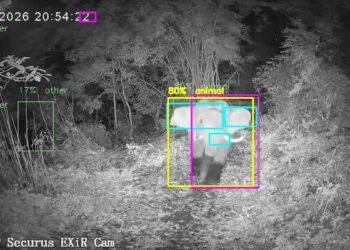How ‘AI sentries’ are bringing new hope to Kerala’s human-wildlife conflict zones