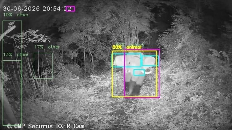 How ‘AI sentries’ are bringing new hope to Kerala’s human-wildlife conflict zones